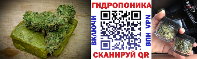 хочу наркоту  блэк спрут вход  Cannafood конопля  Удомля 
