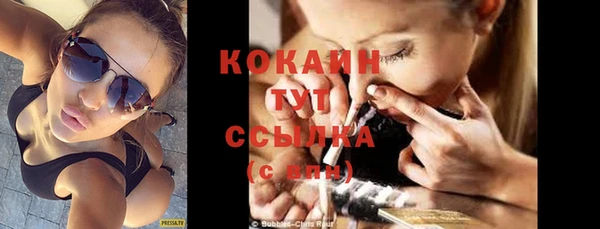 бошки Аркадак