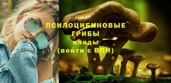 бошки Аркадак