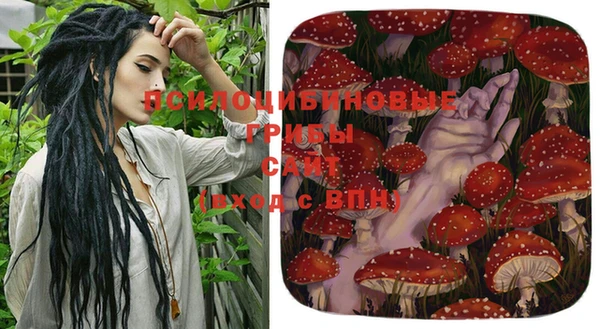 индика Слюдянка