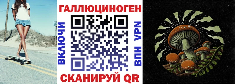 Псилоцибиновые грибы Cubensis  где купить наркотик  мега как войти  Удомля 